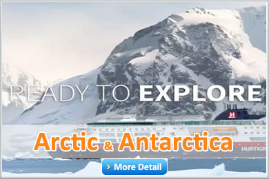 arctic antarctica